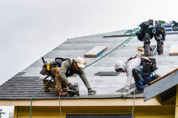 Professional Gutter Installation technician working in Shedd, OR